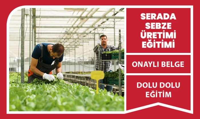 Serada Sebze Üretimi