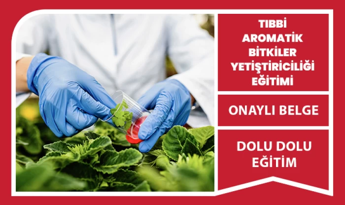 Tıbbi Aromatik Bitkiler Yetiştiriciliği Eğitimi Sertifika Programı 