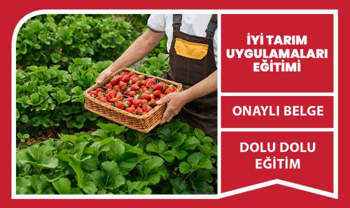 İyi Tarım Uygulamaları