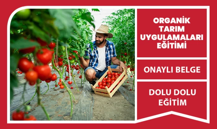 Organik Tarım 