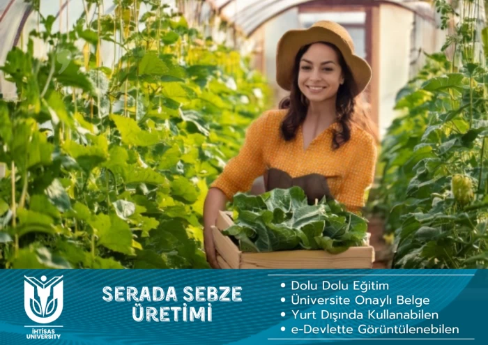 Serada Sebze Üretimi