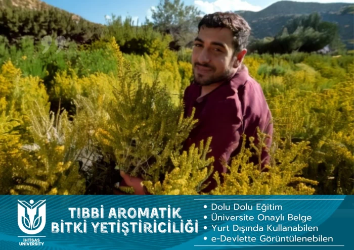 Tıbbi Aromatik Bitkiler Yetiştiriciliği